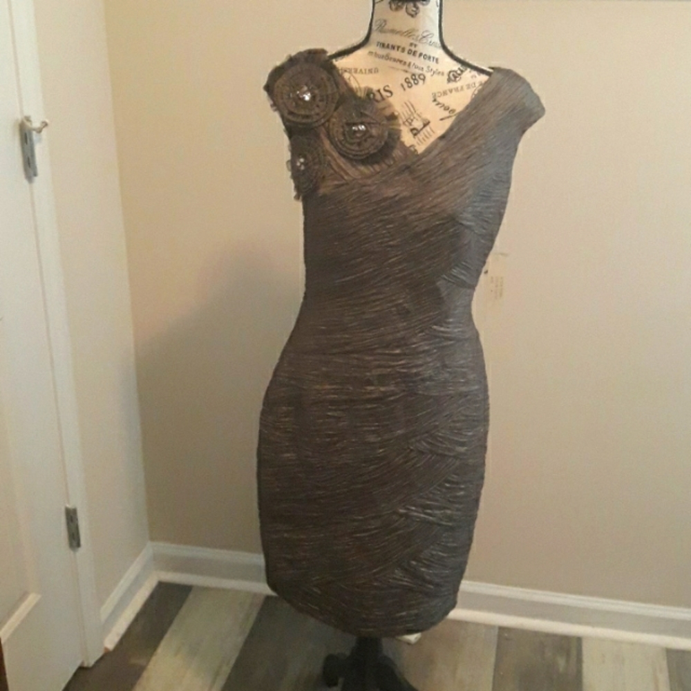 NWT fancy elegant dress.